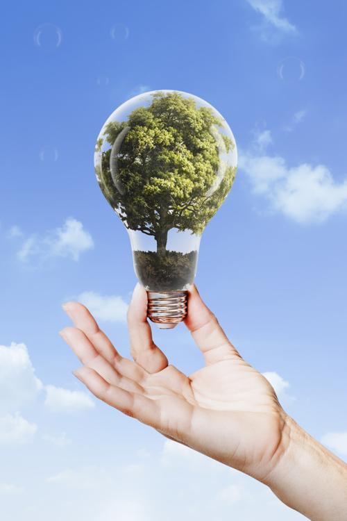 Imagem ilustrativa de Como Gerar Créditos de Carbono