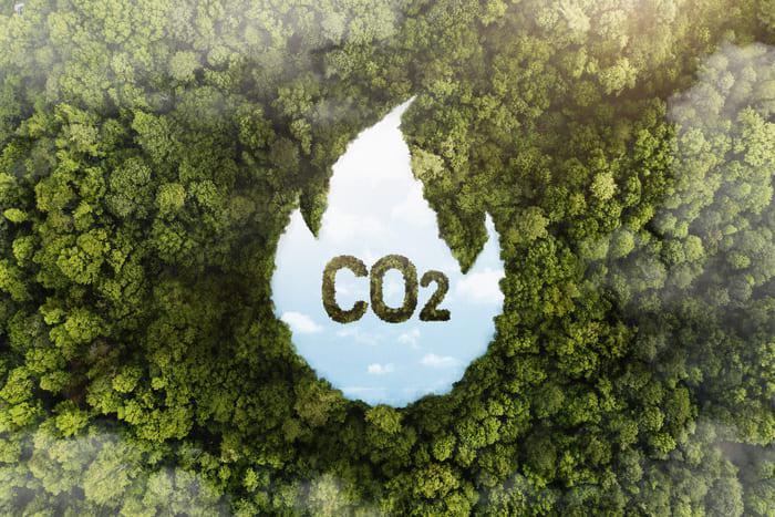 Imagem ilustrativa de MERCADO DE CARBONO