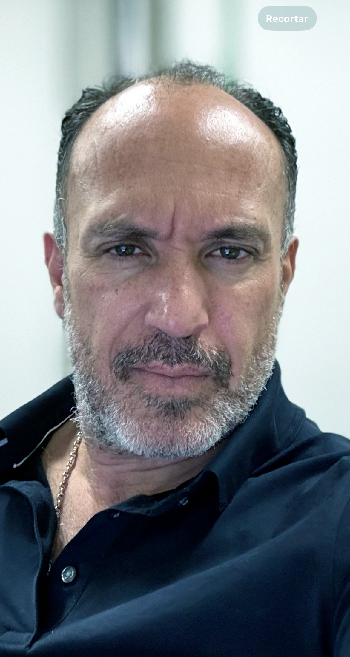 PABLO LEHMANN ALBORNOZ PABLO LEHMANN ALBORNOZ